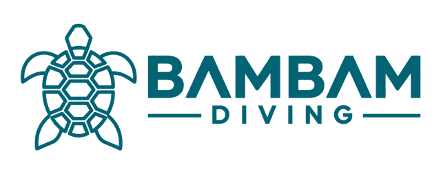 BamBam Diving