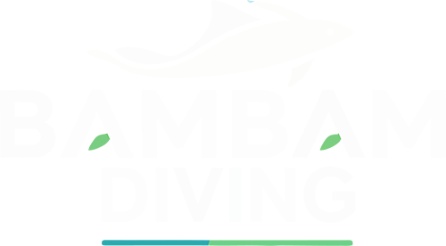 Bam Bam Diving | Scuba Diving Tips, Gear Reviews & Dive Travel